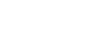 MiHIN-White